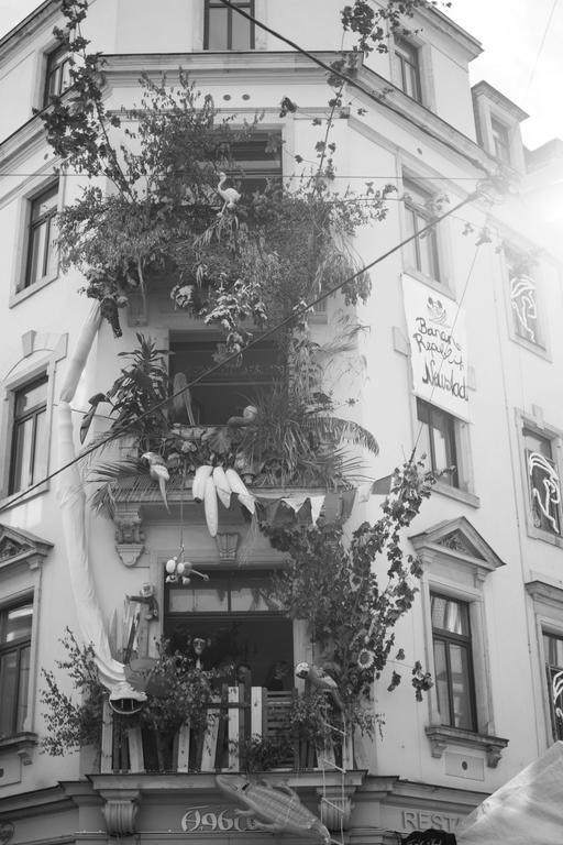 Mirabelle - Wohnen In Der Dresdner Neustadt Drezda Kültér fotó